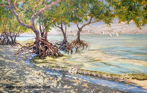 Aquarelle Mangrove Guadeloupe